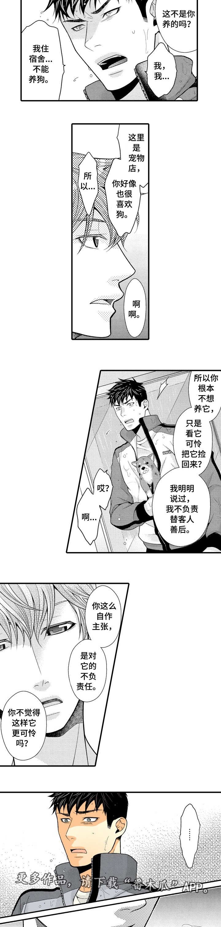 第16章：特殊的客人
