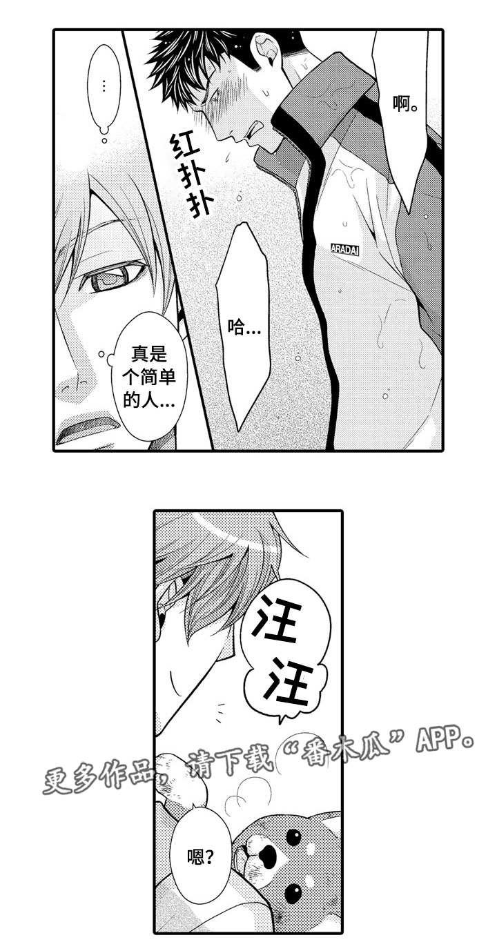 第17章：大胆尝试