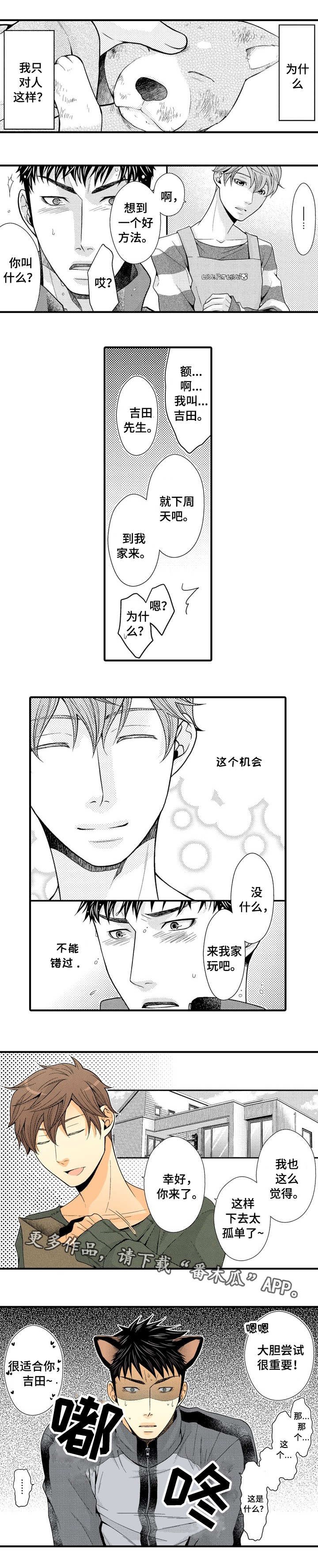第17章：大胆尝试