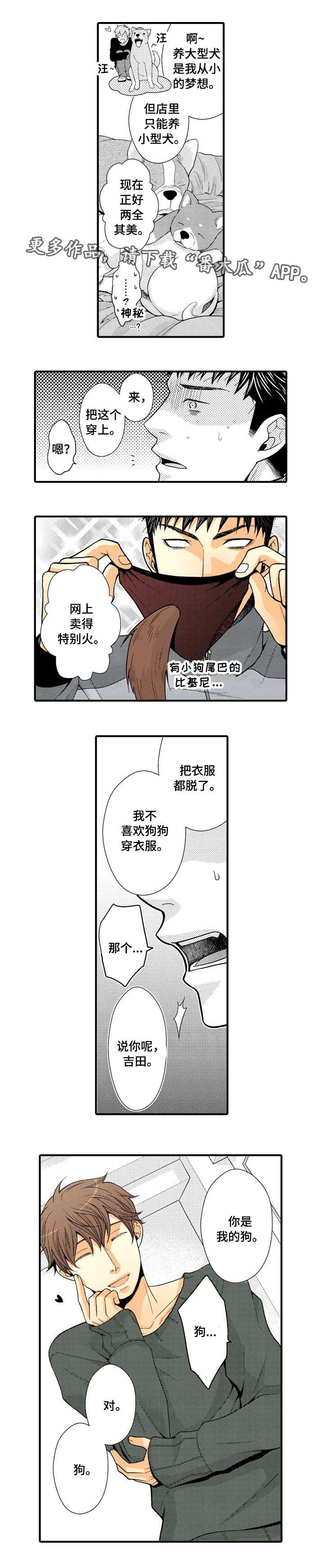第17章：大胆尝试