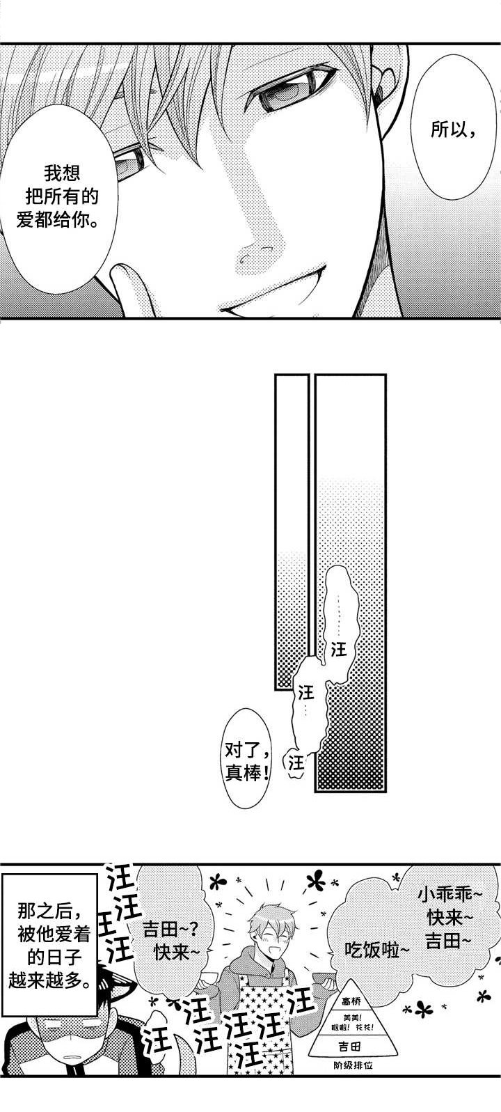 第17章：大胆尝试