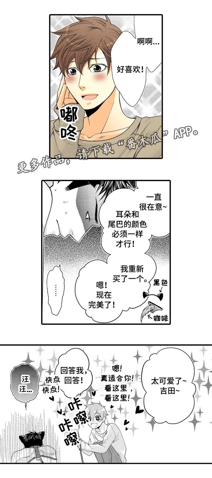 第18章：我的小狗