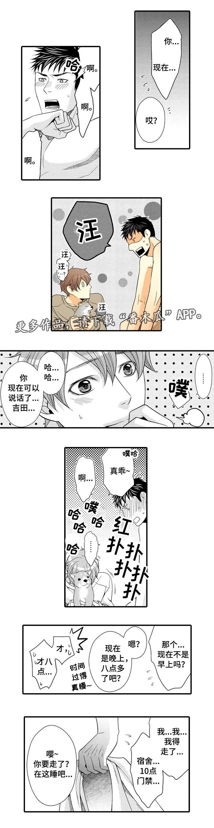 第18章：我的小狗