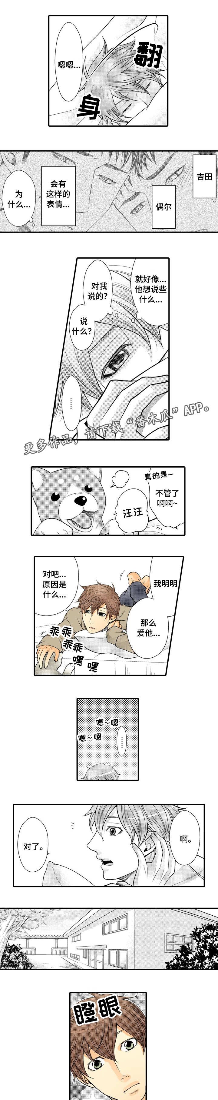 第18章：我的小狗