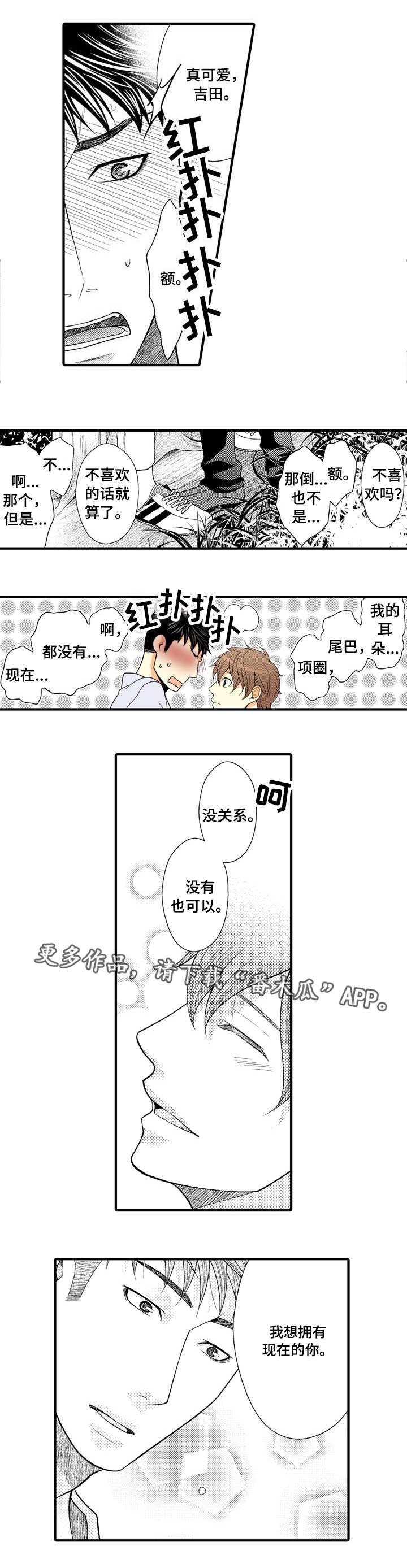第19章：我爱你