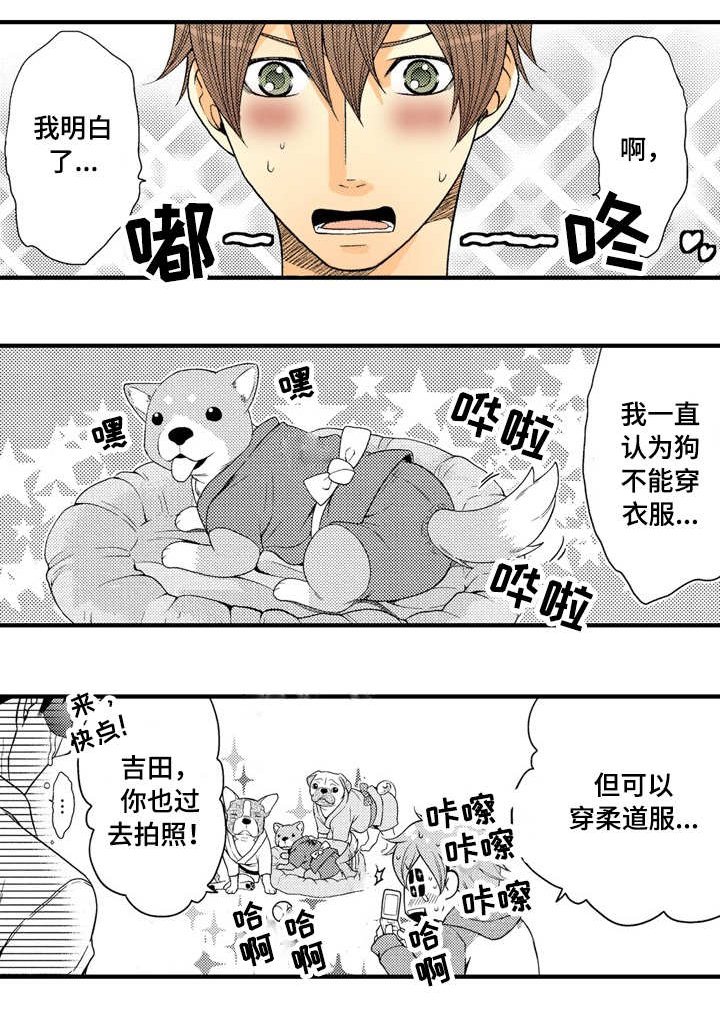第19章：我爱你