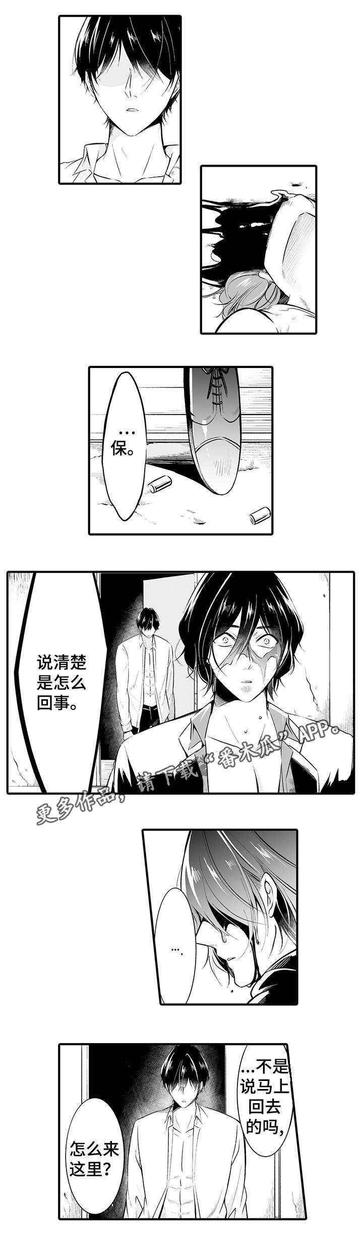 第17章：是你干的