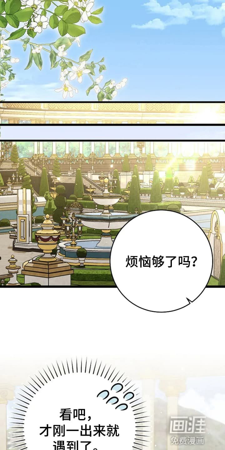 第13章：再次遇见