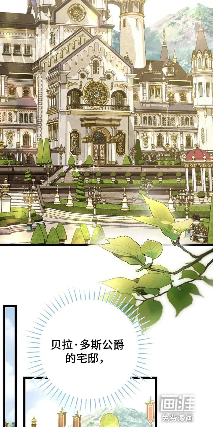 第15章：野餐