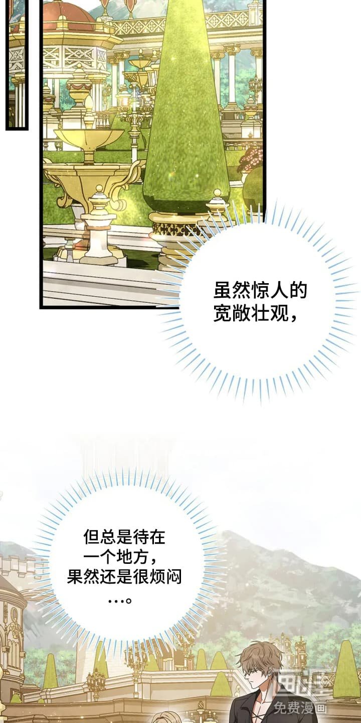 第15章：野餐