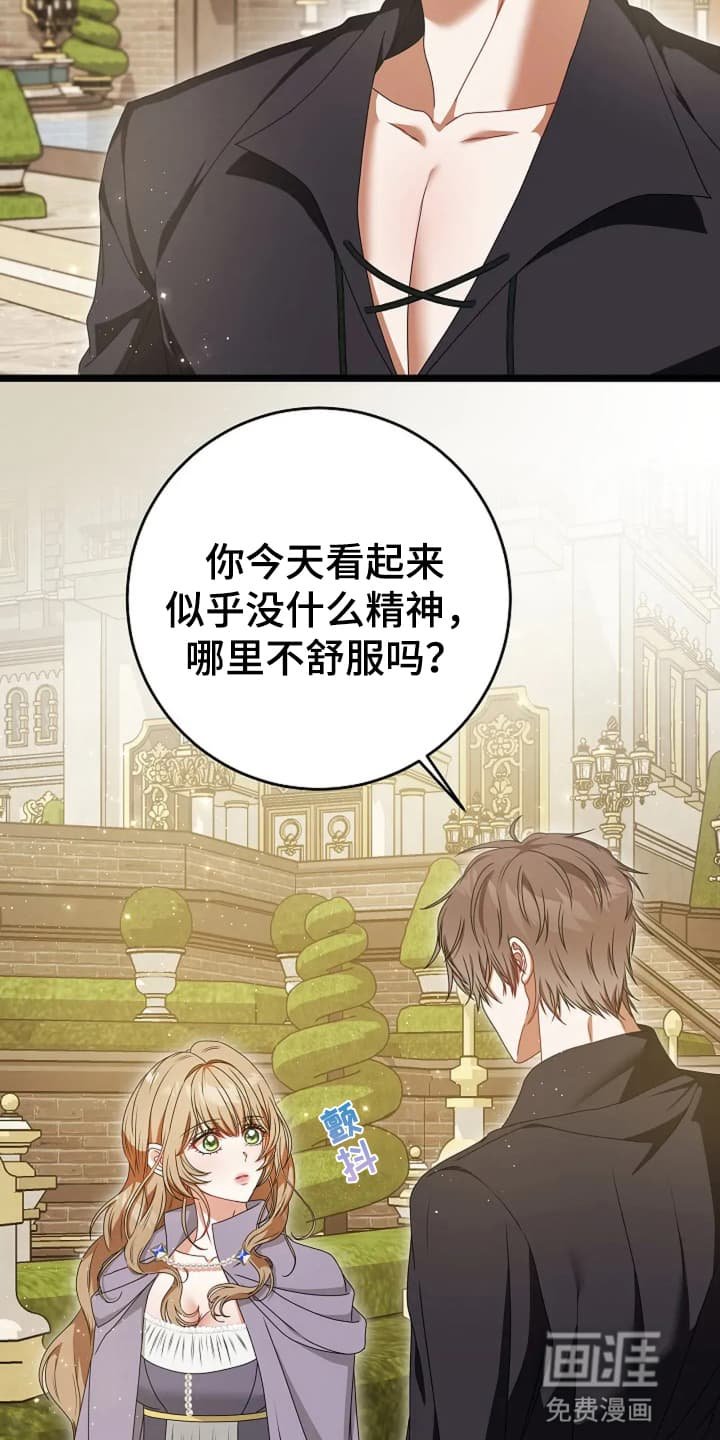 第15章：野餐