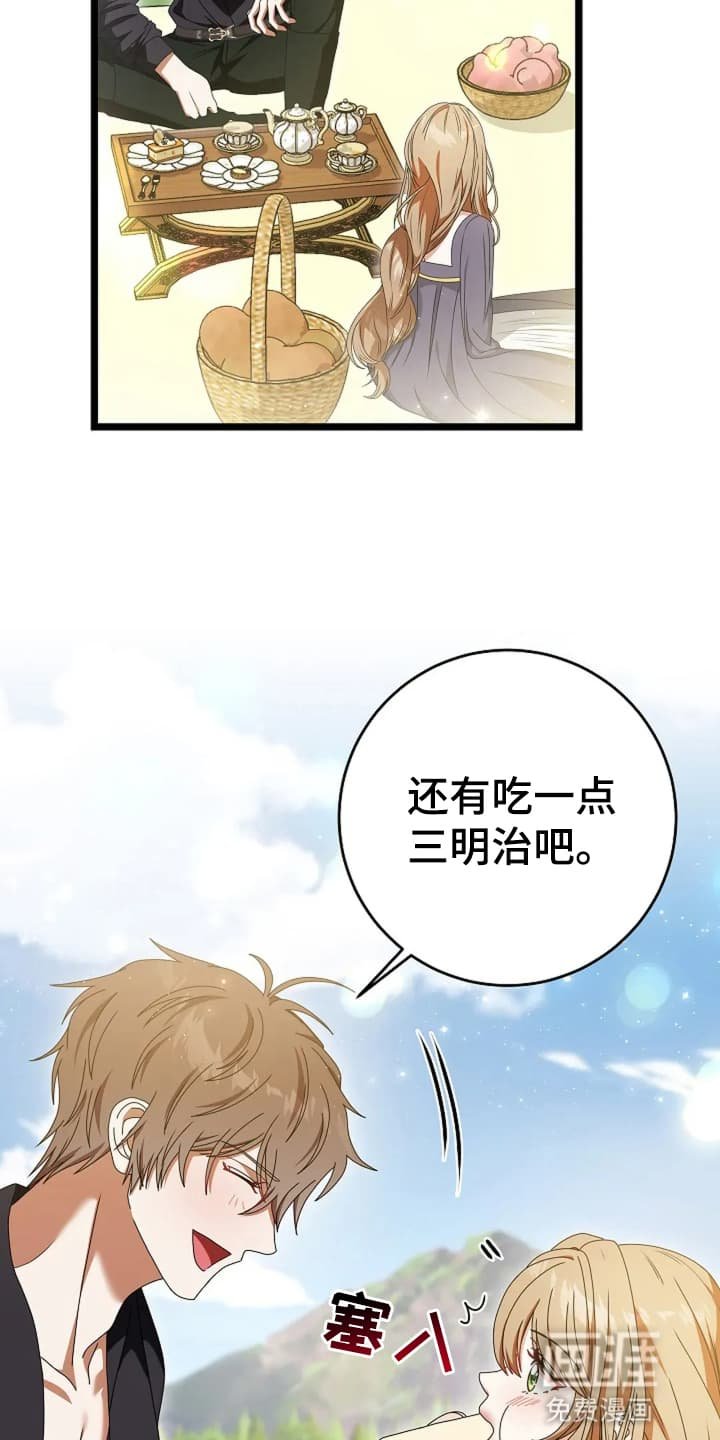 第15章：野餐