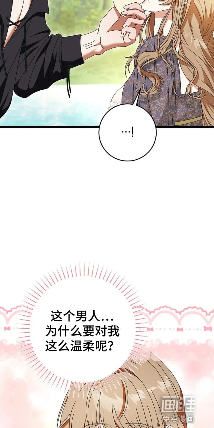 第15章：野餐