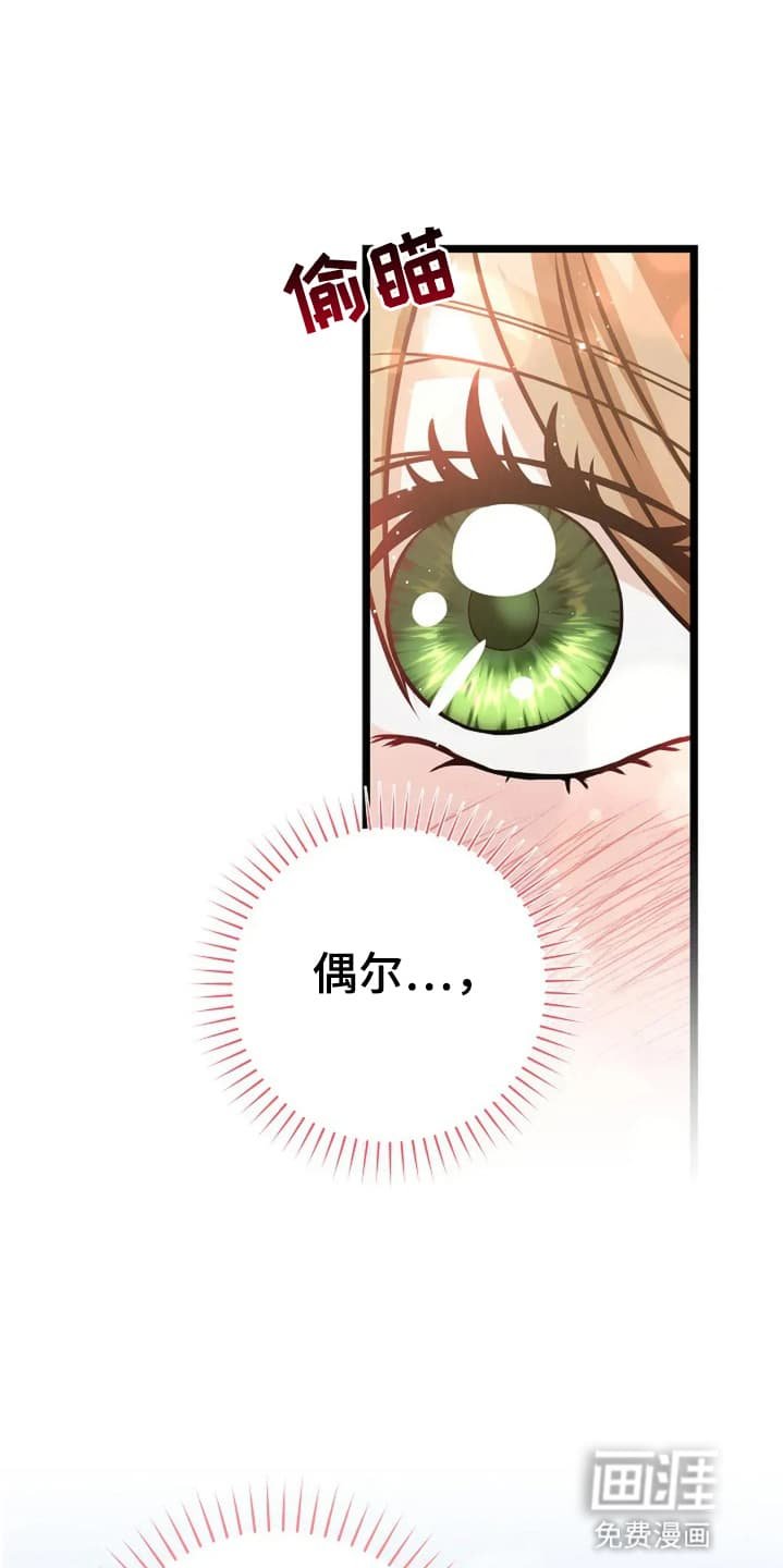 第15章：野餐