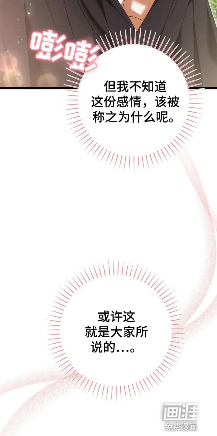 第15章：野餐