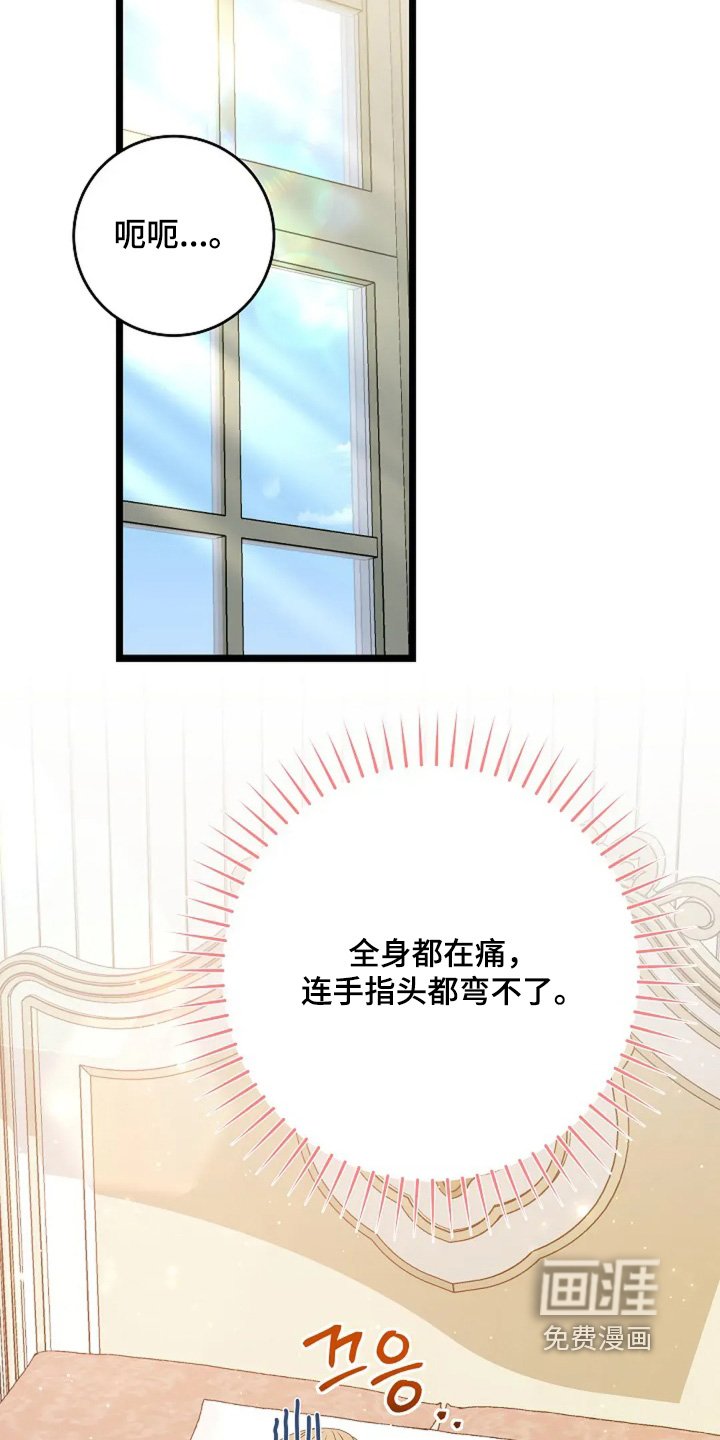 第16章：这是什么