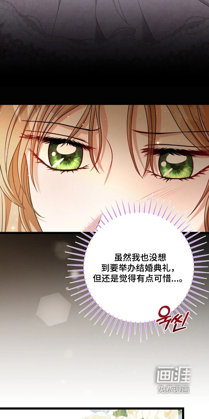 第36章：梦想中的婚礼