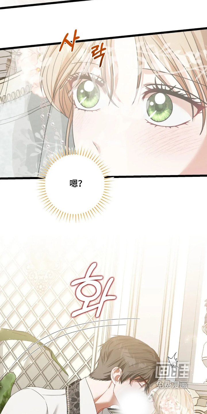 第36章：梦想中的婚礼