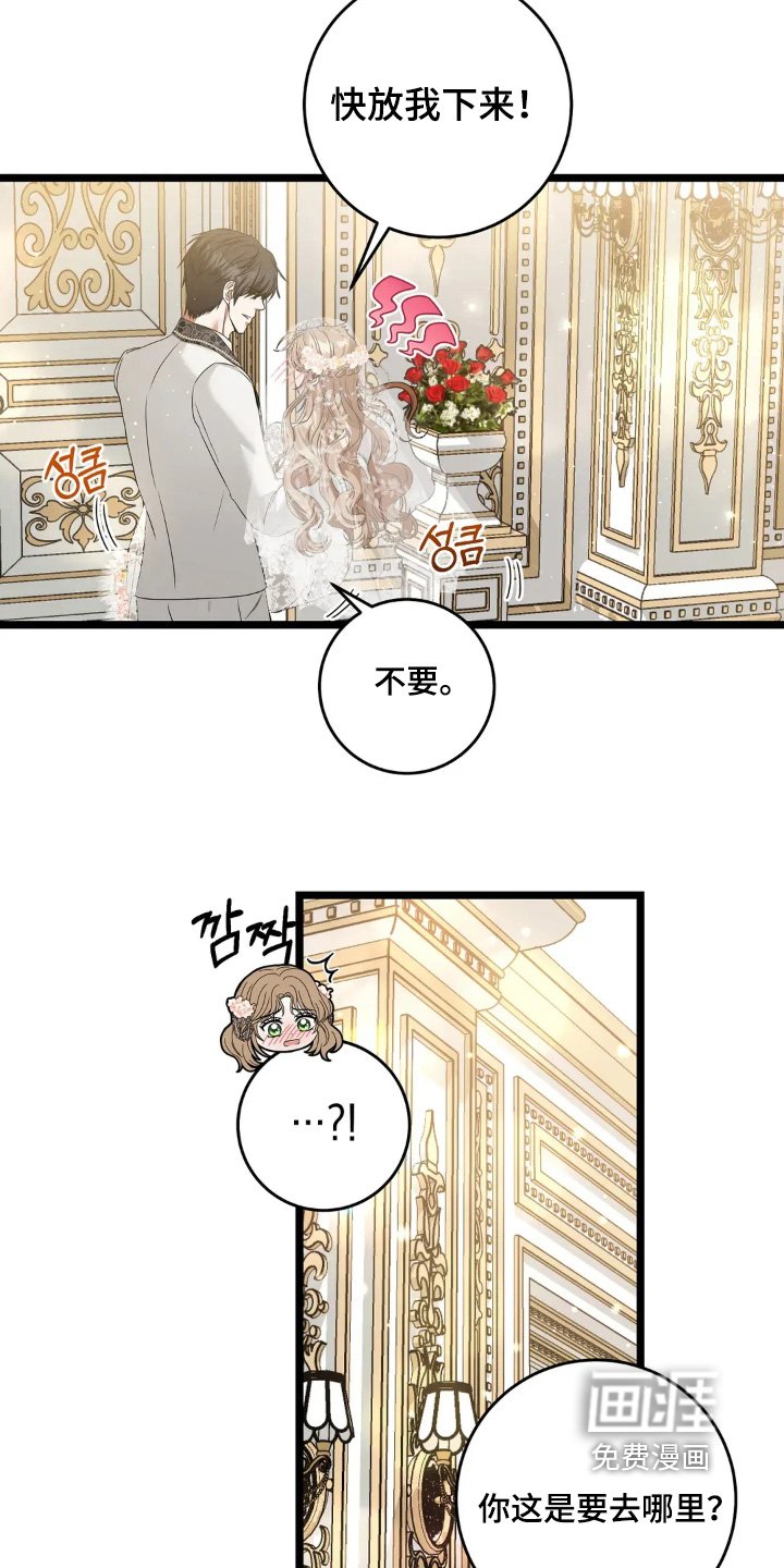 第37章：结束太早了