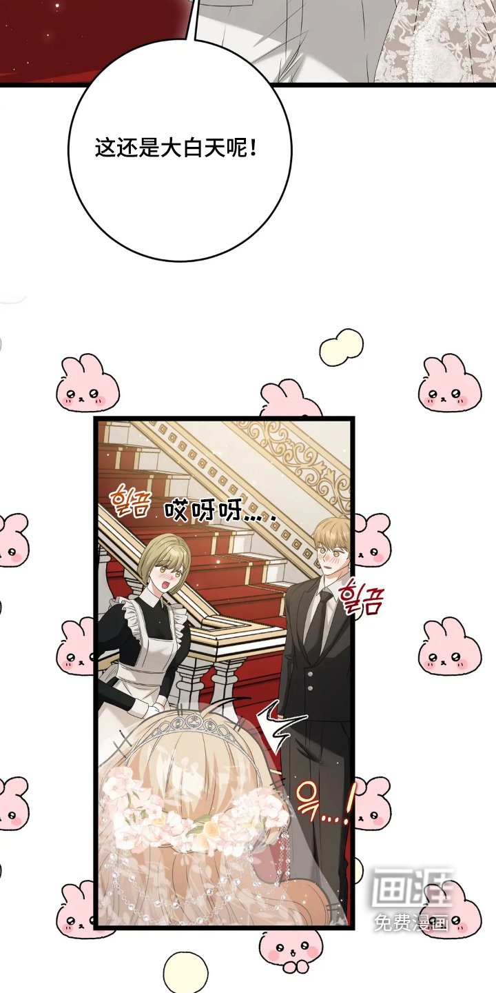 第37章：结束太早了