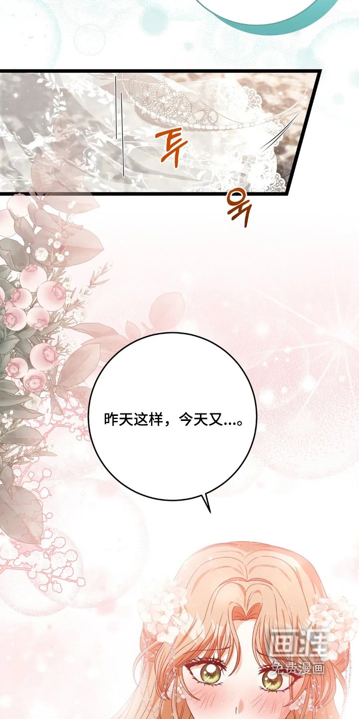 第37章：结束太早了