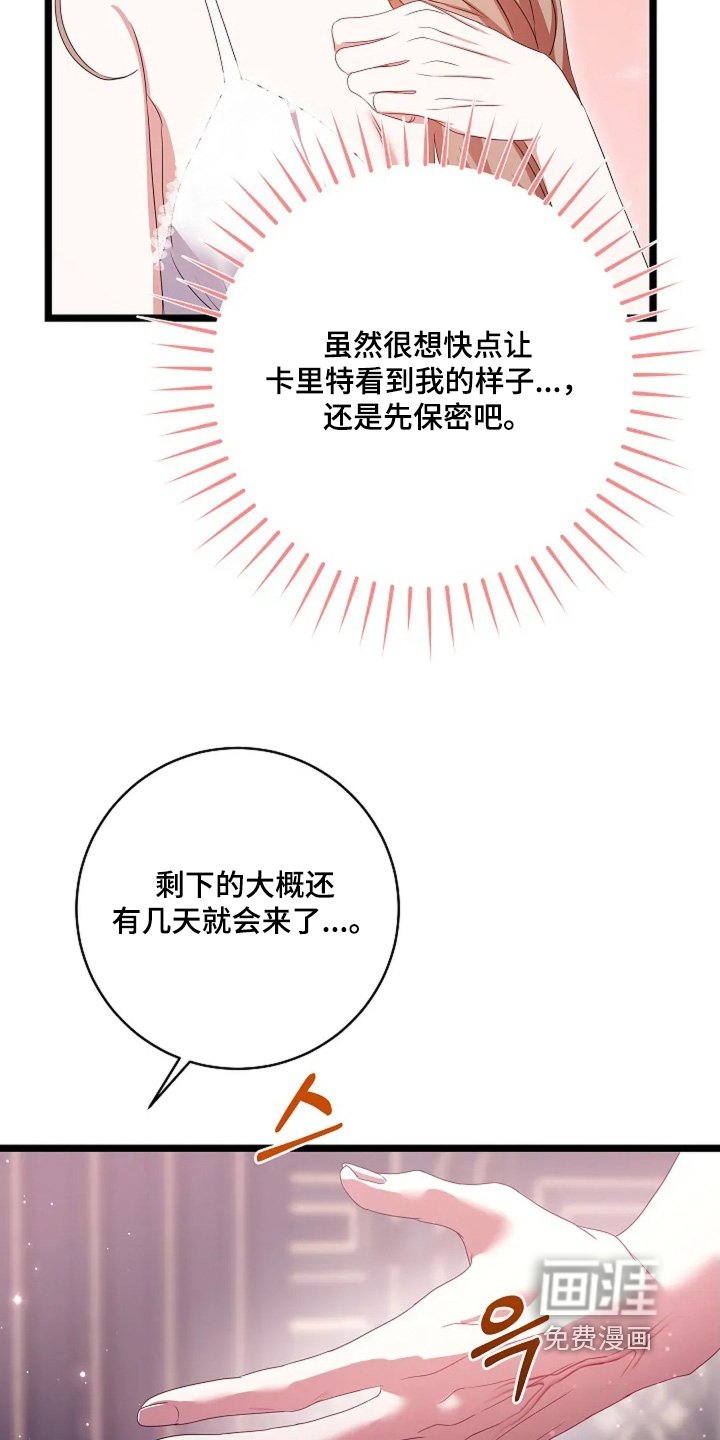 第51章：太美了