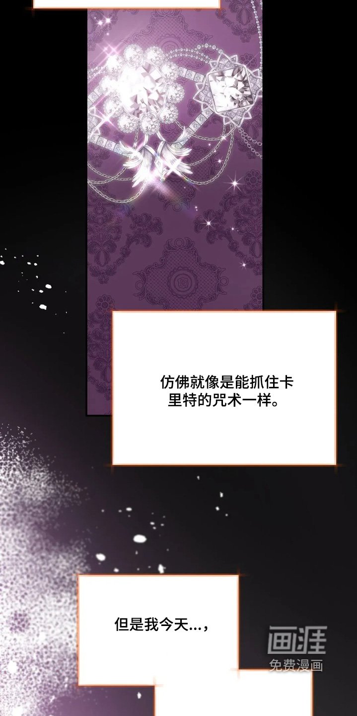 第63章：项链