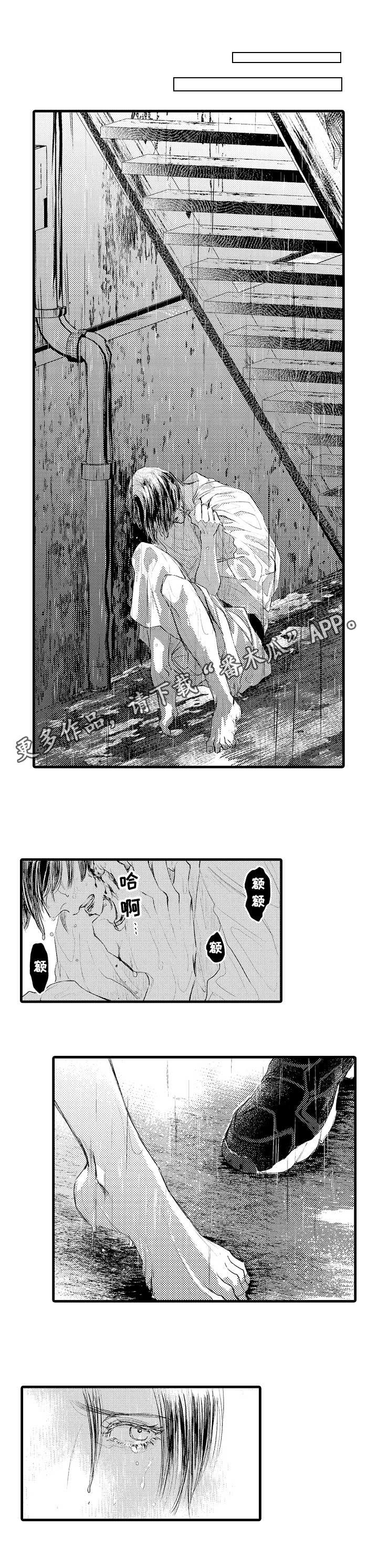 第16章：伤痕
