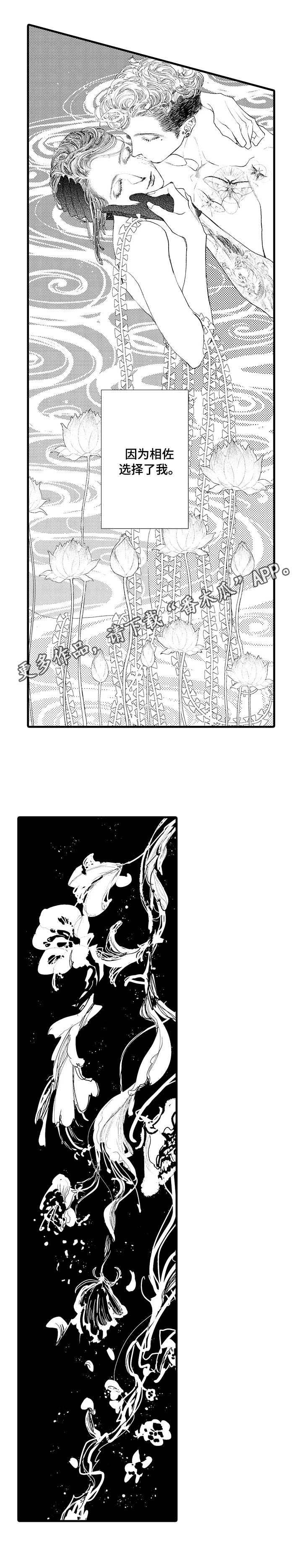 第20章：选择