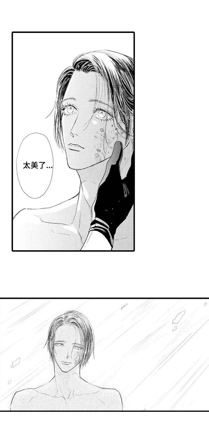 第20章：选择