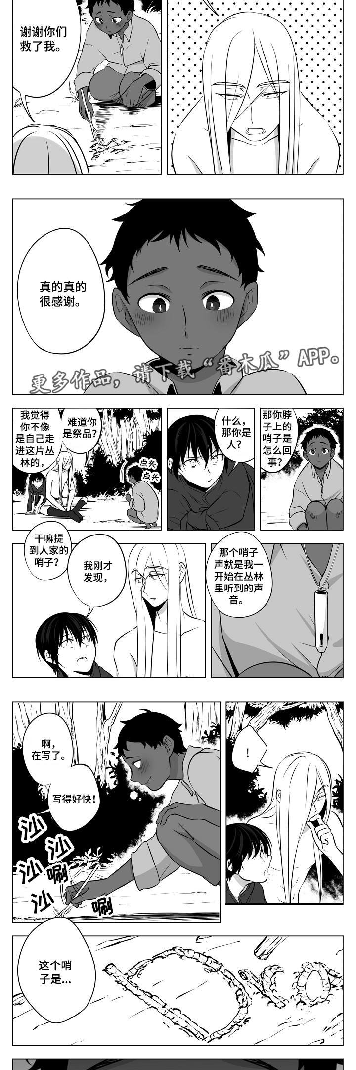 第11章：小儿科