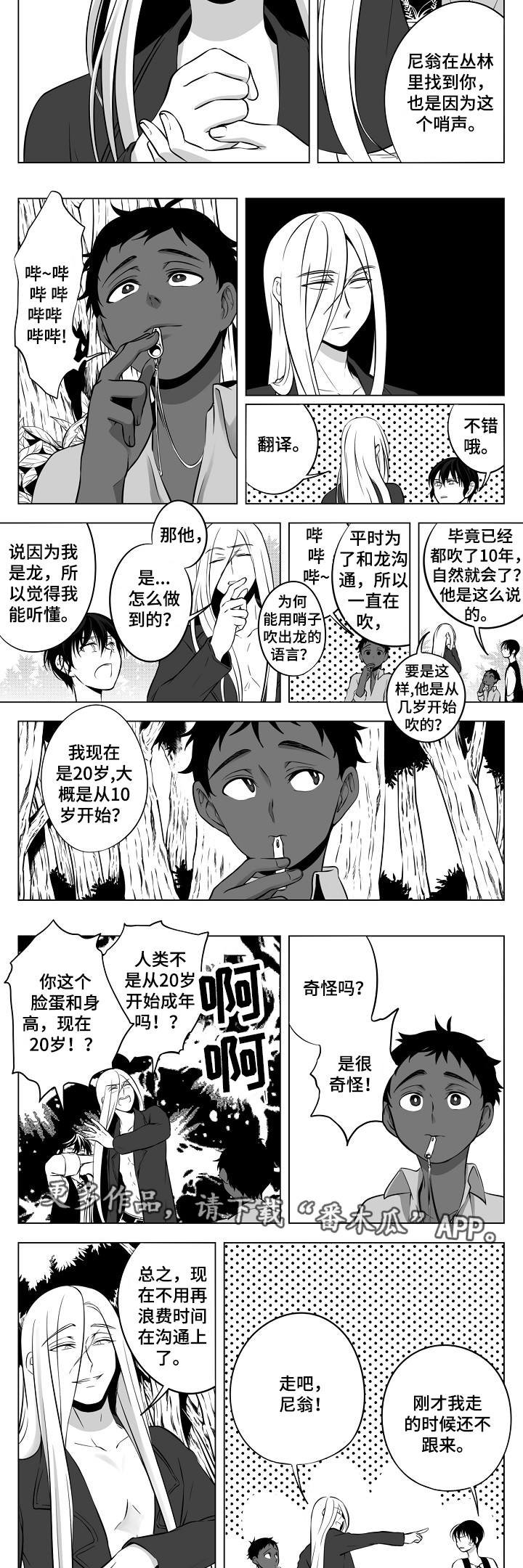 第12章：陷阱