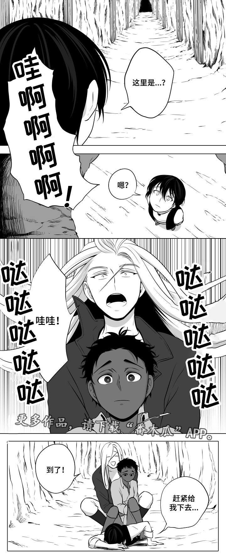 第12章：陷阱