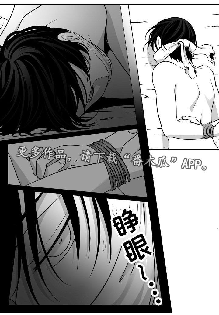 第15章：在哪里