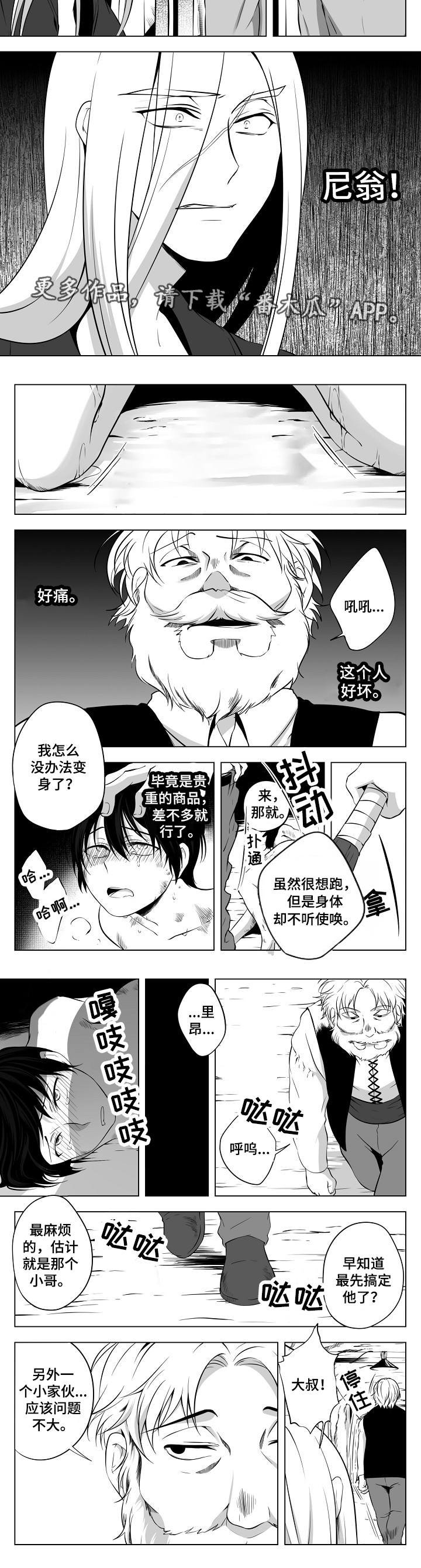 第15章：在哪里