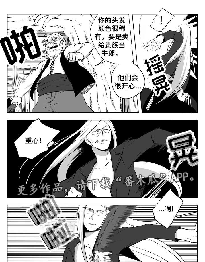 第15章：在哪里