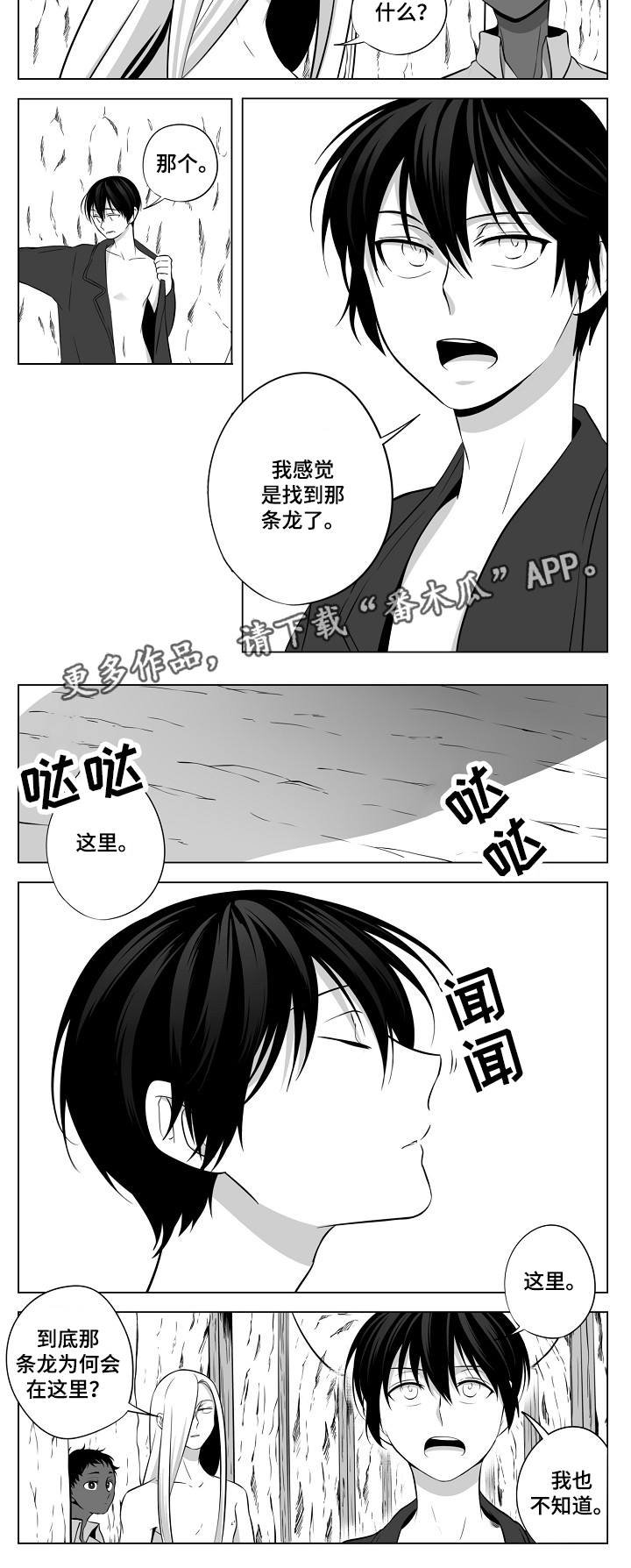 第17章：另一条龙