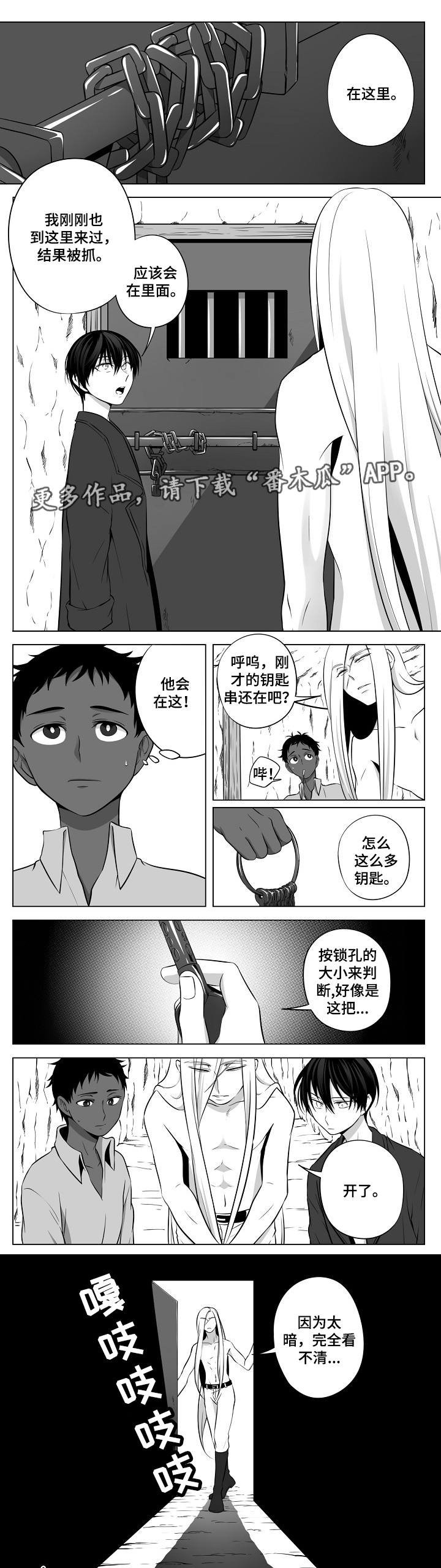 第17章：另一条龙
