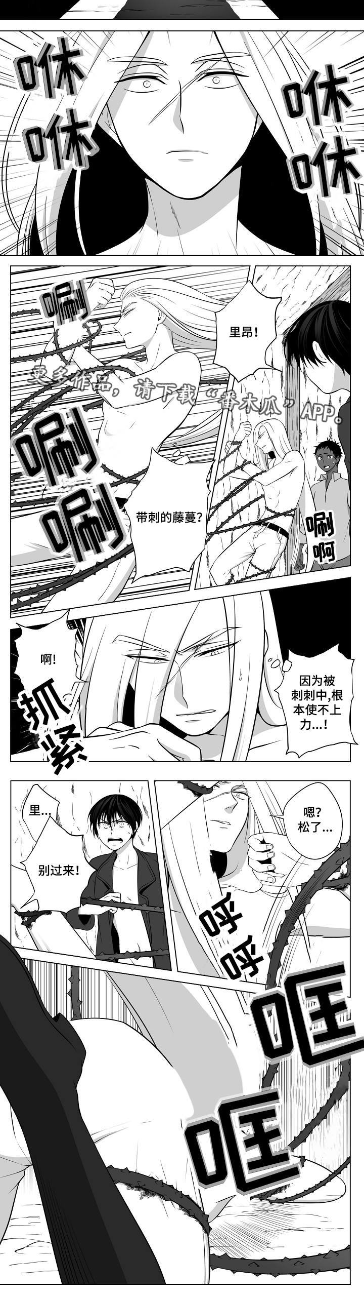 第17章：另一条龙