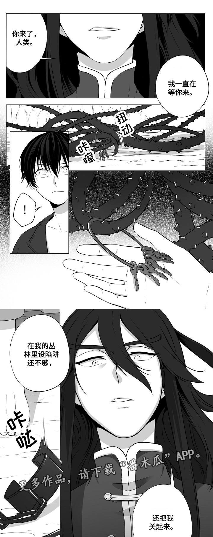 第17章：另一条龙