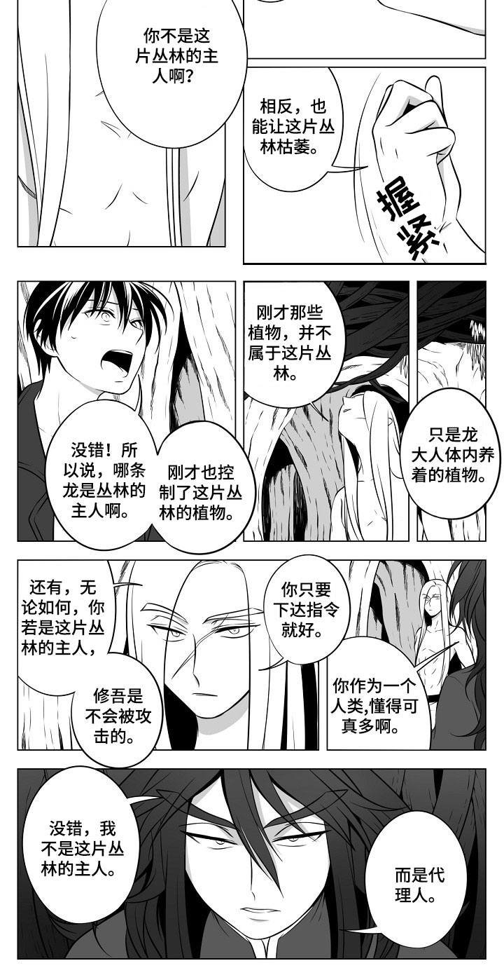 第18章：丛林的主人
