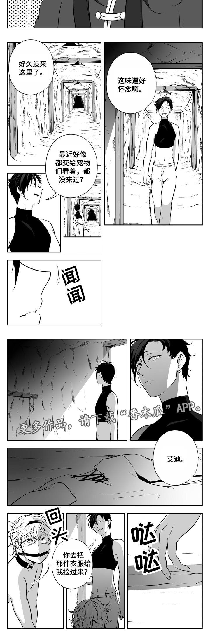 第20章：皇宫