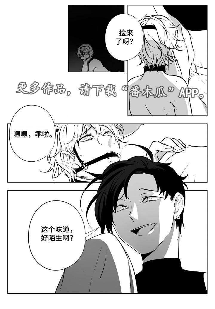 第20章：皇宫