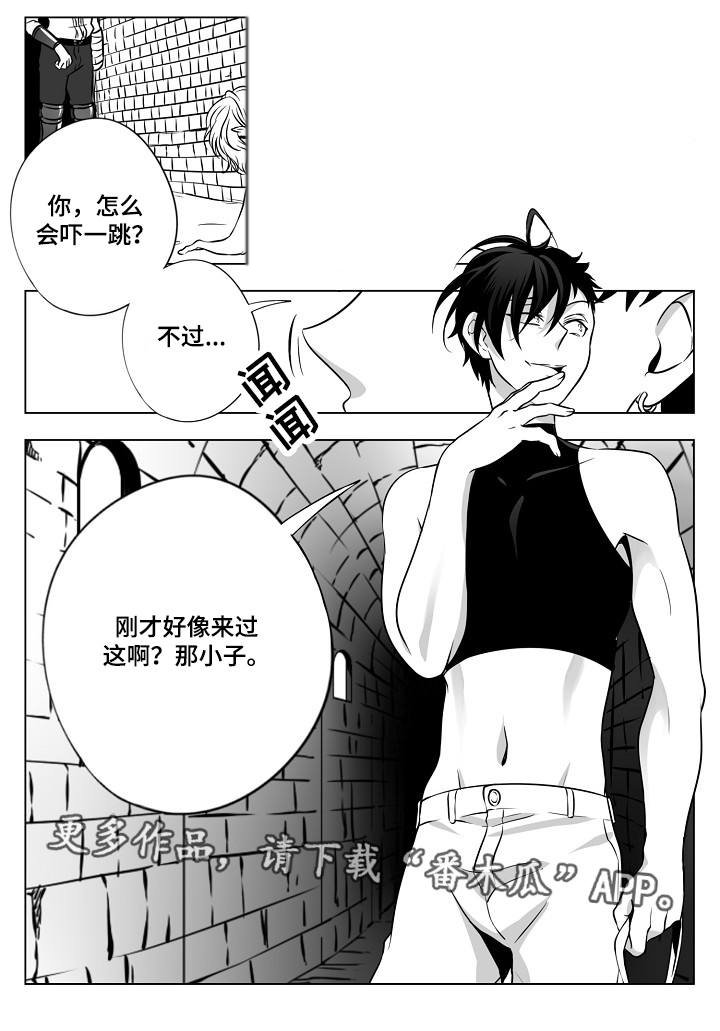 第21章：除掉他们