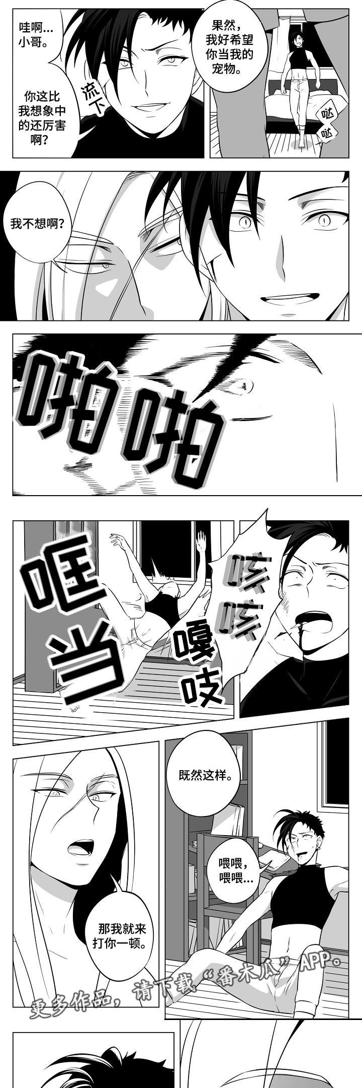 第22章：终于来了