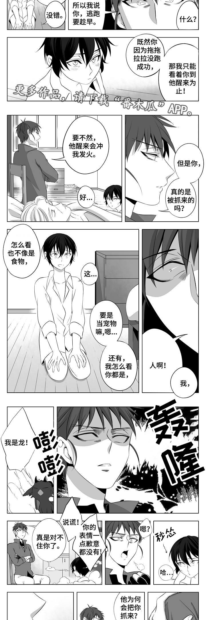 第4章：一见钟情