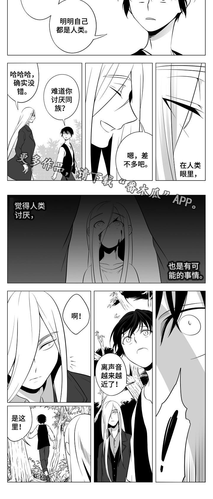 第8章：龙的声音