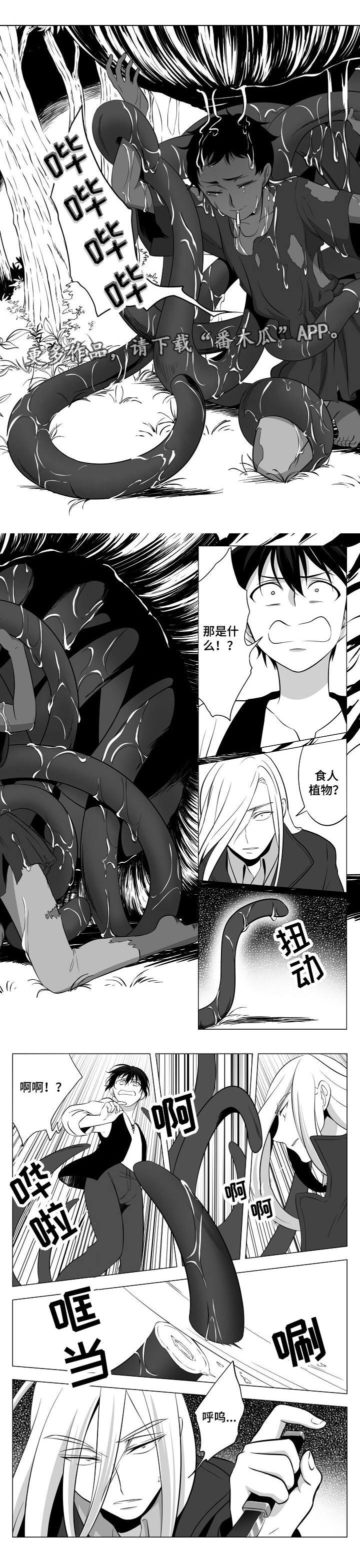 第8章：龙的声音
