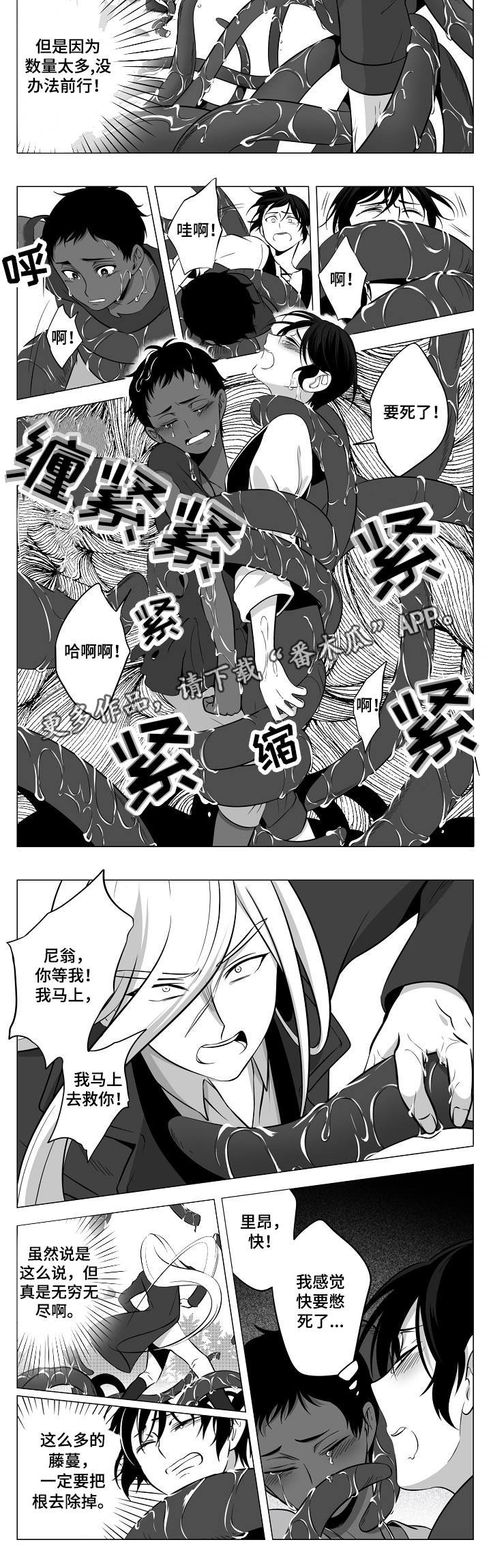 第8章：龙的声音