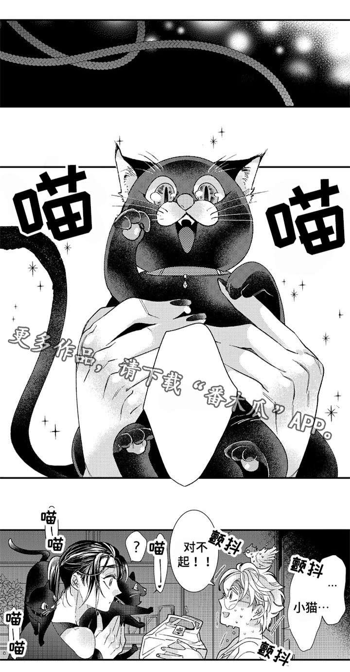 第13章：弄疼